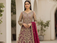 Net & Chiffon Dresses